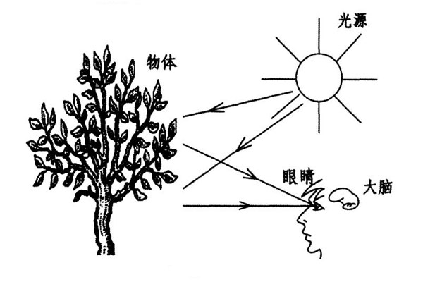 颜色视觉过程